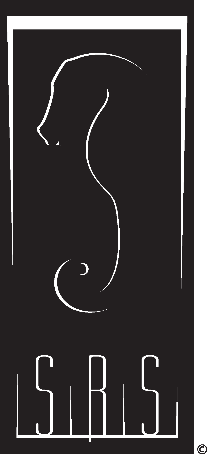 Seahorse Racing Stable Logo Vector Logo